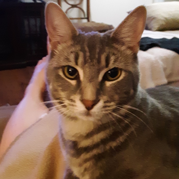 Meet your Posher, Rose - Picture 10 of 12